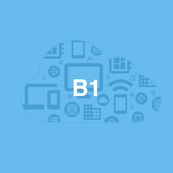 Recuros B1 para jovenes y adolescentes